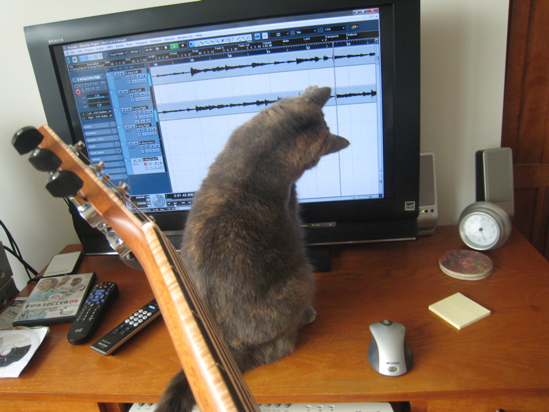 Pictures of Frozen Taco in Chicago